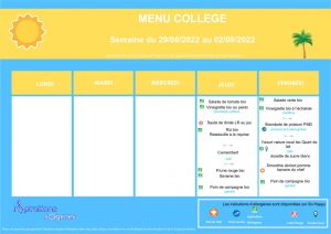 thumbnail of standard-college